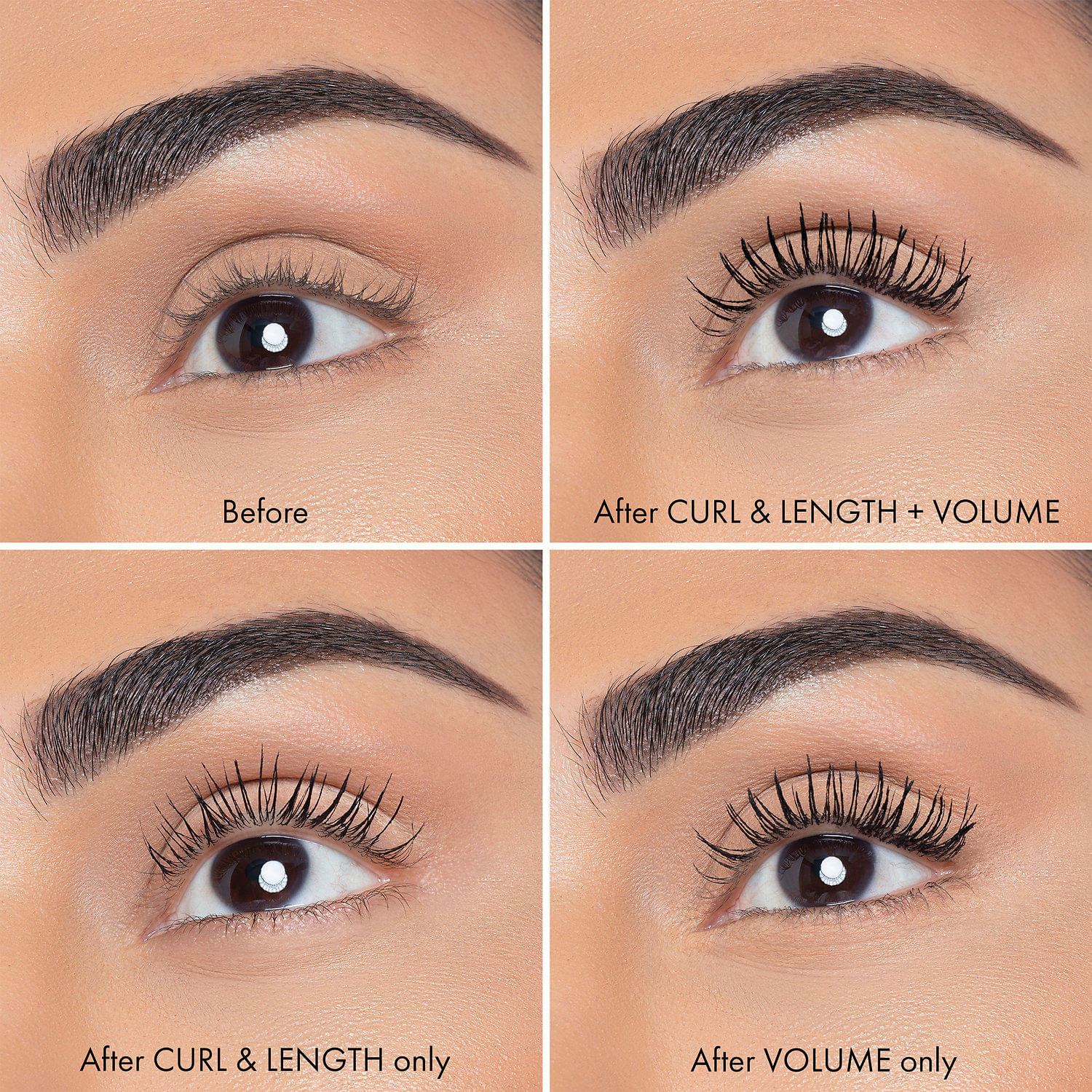 正規品 Lashaddict Lash Transcara 7ml Lashaddict Lash Transcara